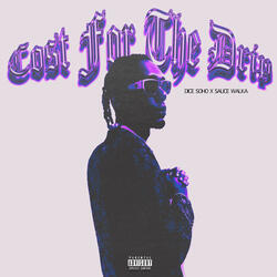 Cost for the Drip