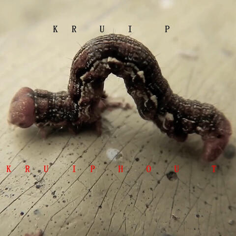 Kruiphout