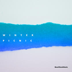 Winter Picnic