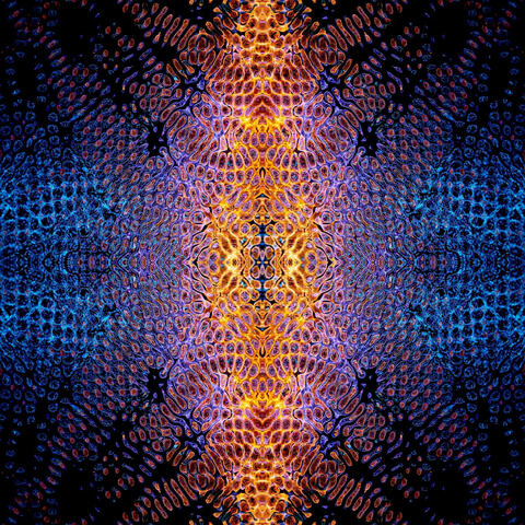 Complex