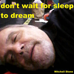 Don't Wait for Sleep to Dream