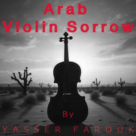 Yasser Farouk