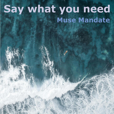 Say What You Need