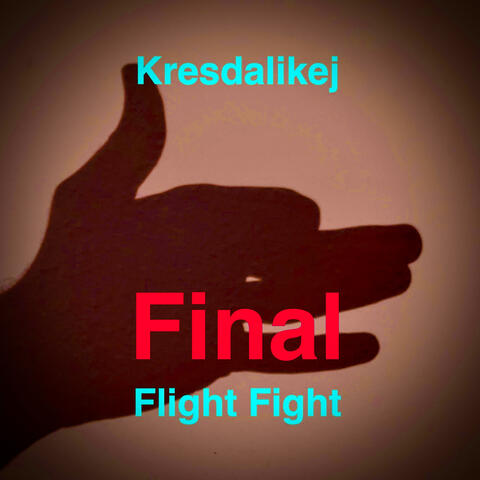Final Flight Fight