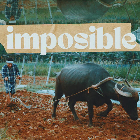 Imposible