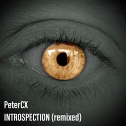 In the Nighttime (Remixed)