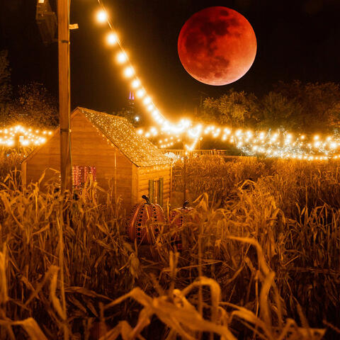 Halloween Nights
