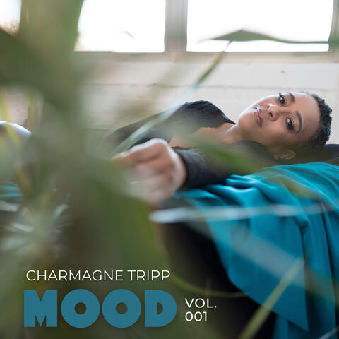 Mood, Vol. 001