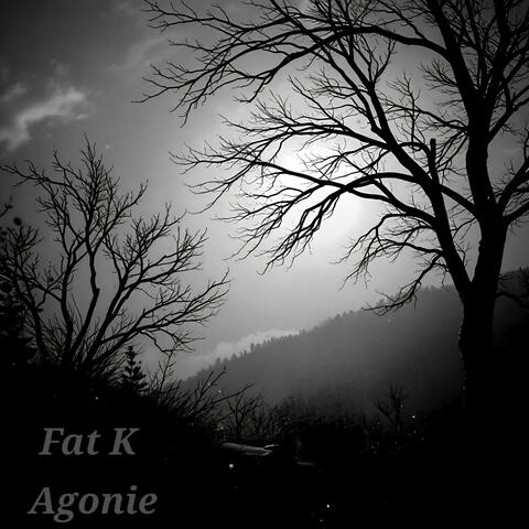 Agonie