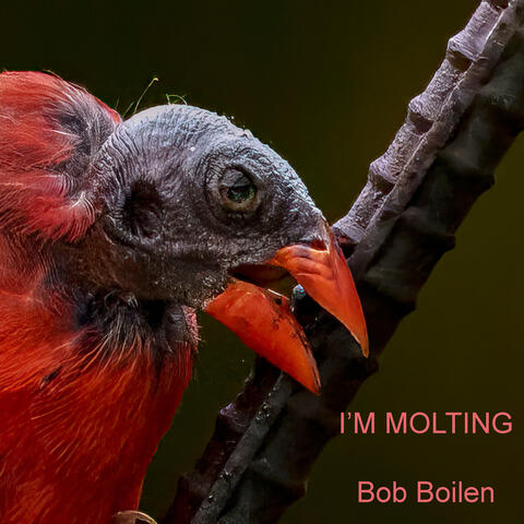 I'm Molting