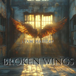 Broken Wings