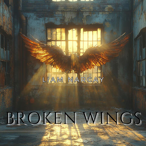 Broken Wings