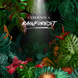 Rainforest