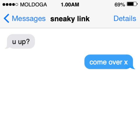 Sneaky Link