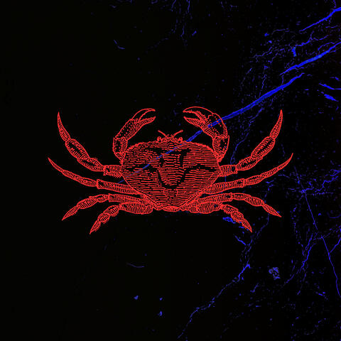 Crabby Feelings