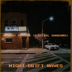 Silent Pulses (Digital Shadows)