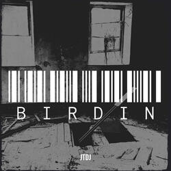 Birdin