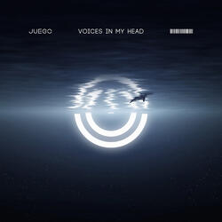 Voices in My Head