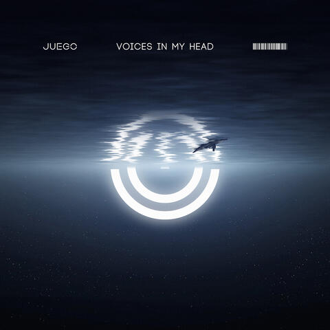 Voices in My Head