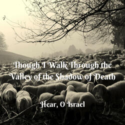 Though I Walk Through the Valley of the Shadow of Death