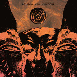 Hallucination