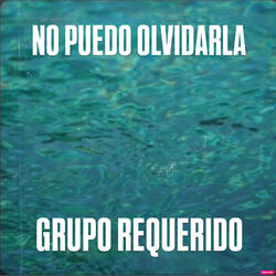 No Puedo Olvidarla