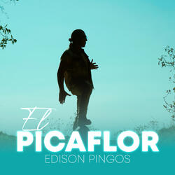 El Picaflor