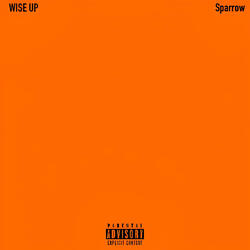 Wise Up