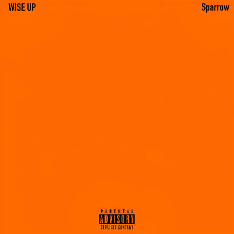 Wise Up
