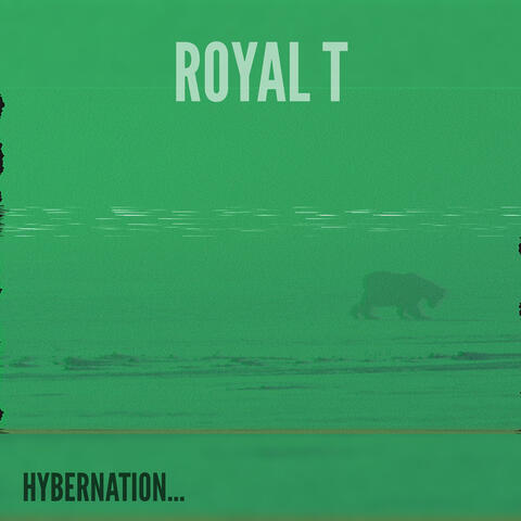 Hybernation