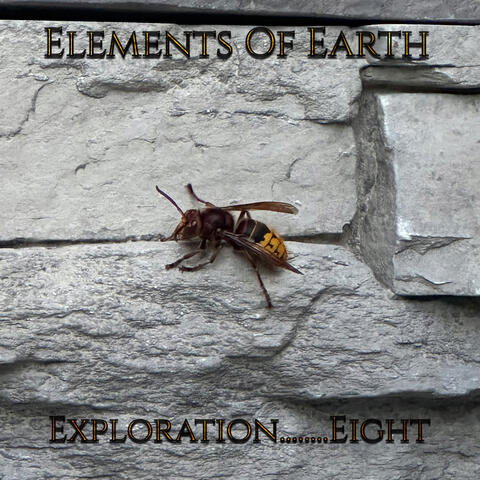 Exploration........Eight