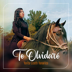 Te Olvidaré