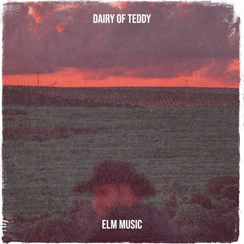 Dairy of Teddy