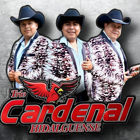 Trio Cardenal Hidalguense