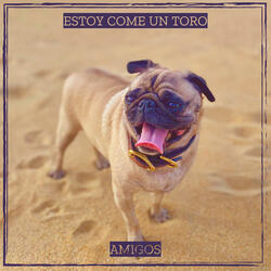 estoy come un toro