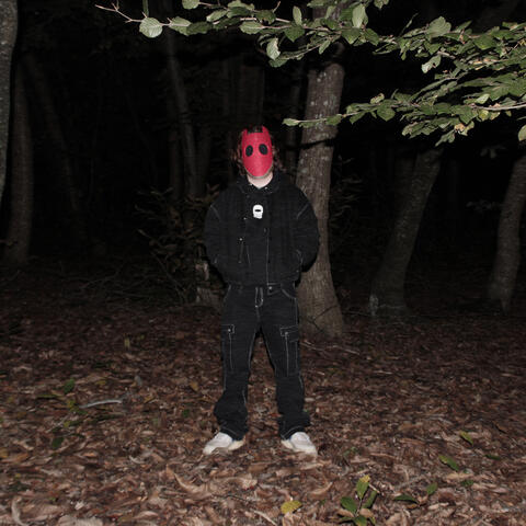 Hikikomori