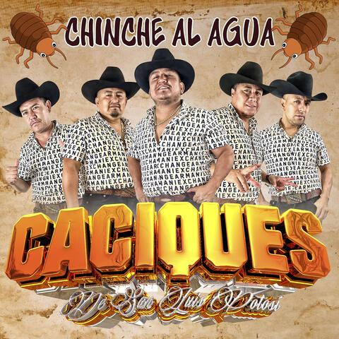 Chinche Al Agua