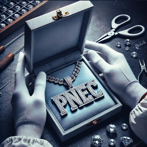 PNEC, VOL.1