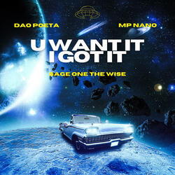 U Want It ( I Got It )