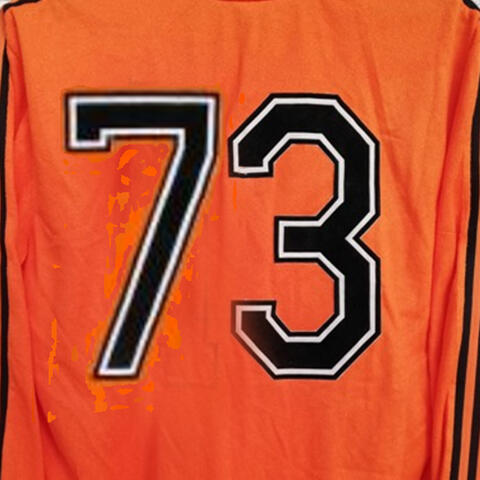 73