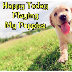 Happy Today Playing My Puppies