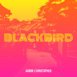 Blackbird