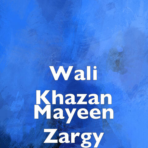Mayeen Zargy
