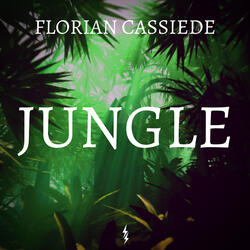 Jungle