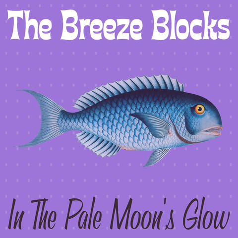 In the Pale Moon's Glow