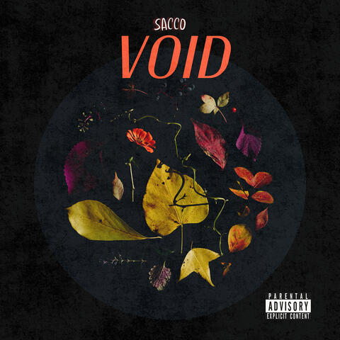 Void