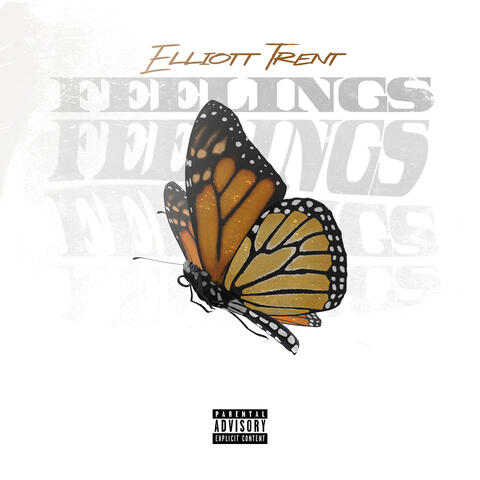 Feelings