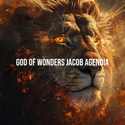 God of Wonders