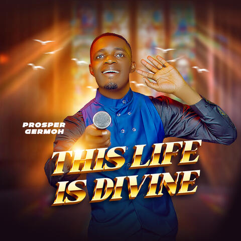 This Life Is Divine