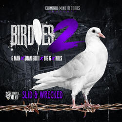 Birdies 2 Slid & Wrecked